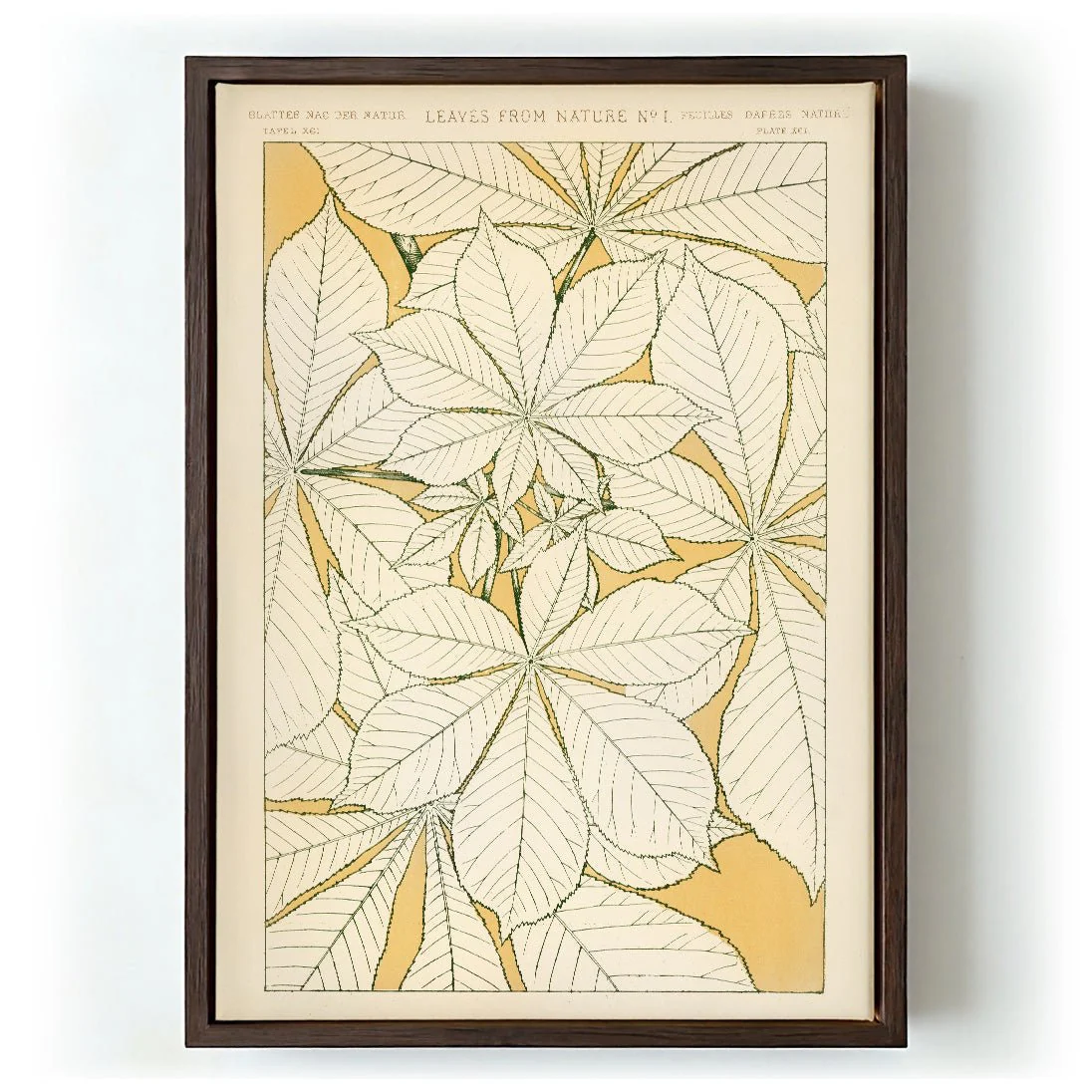 Leaves from Nature Nr 1 by Owen Jones - Image 5