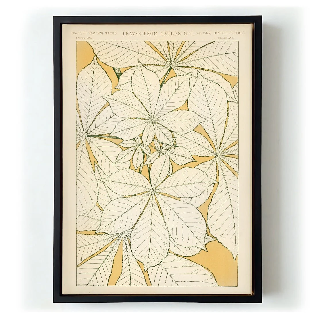 Leaves from Nature Nr 1 by Owen Jones - Image 6