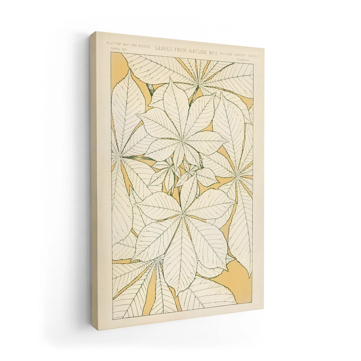 Leaves from Nature Nr 1 by Owen Jones - Image 7