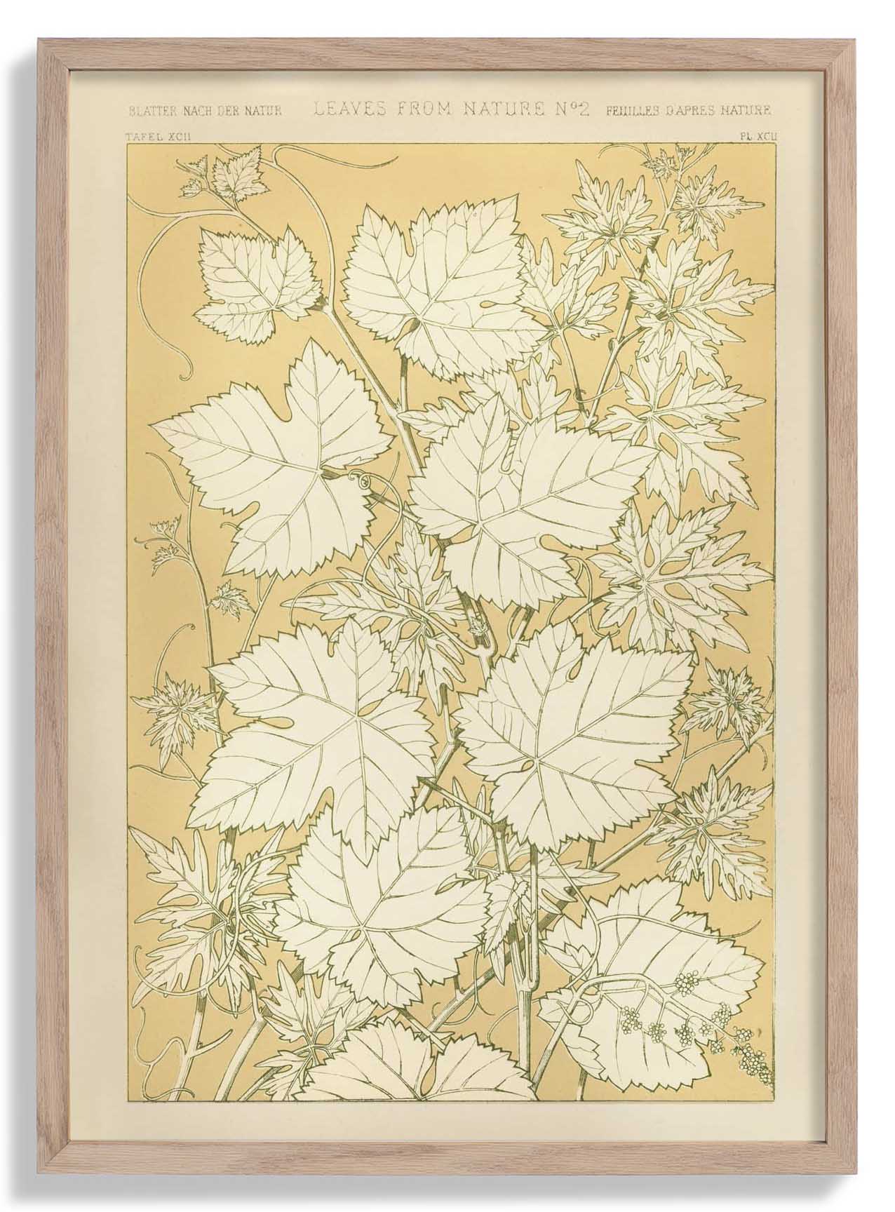 Leaves from Nature Nr 2 by Owen Jones