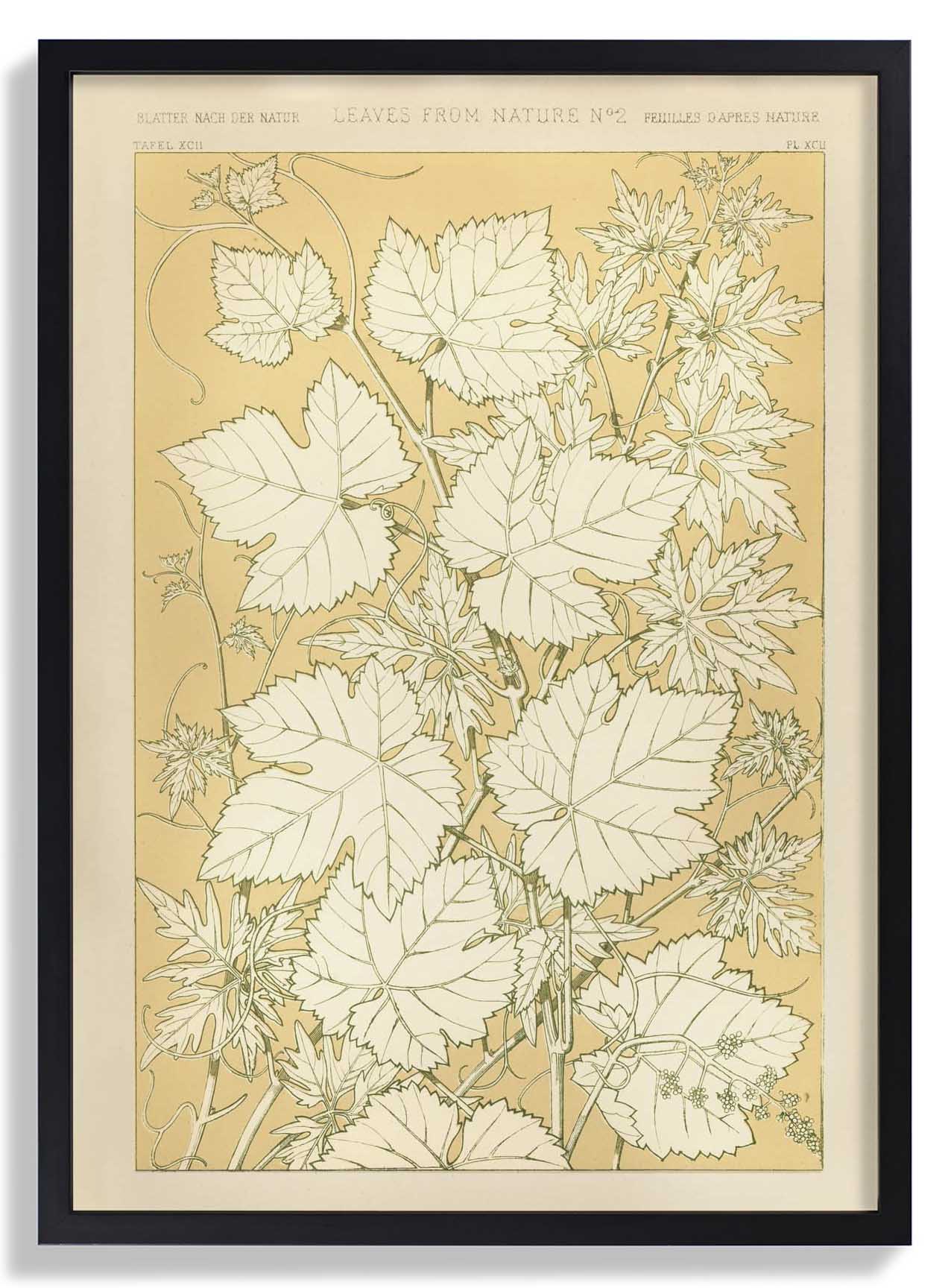 Leaves from Nature Nr 2 by Owen Jones - Image 6