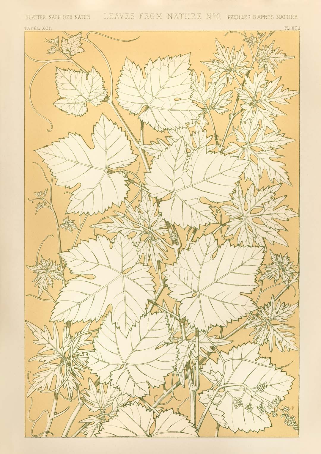 Leaves from Nature Nr 2 by Owen Jones - Image 8