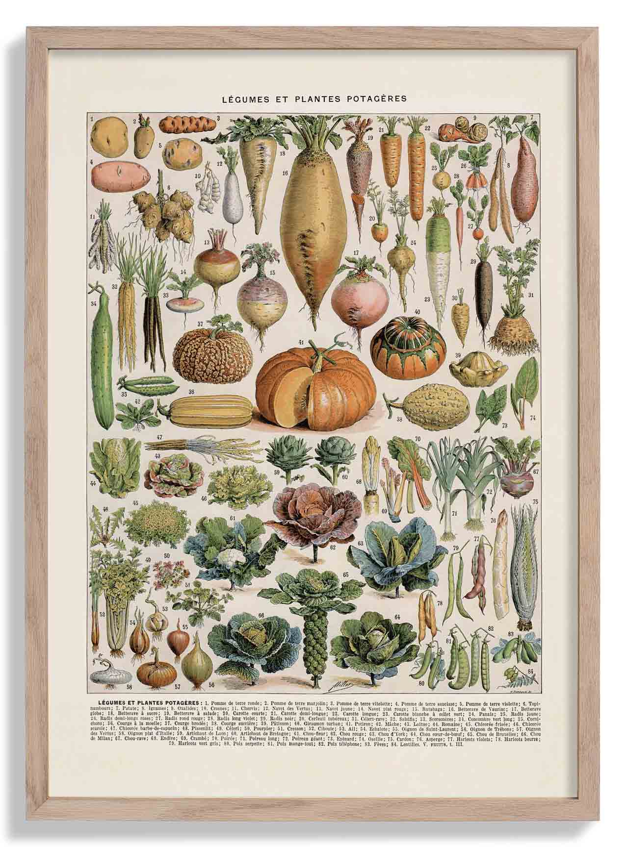 LÉGUMES etES POTAGÈRES