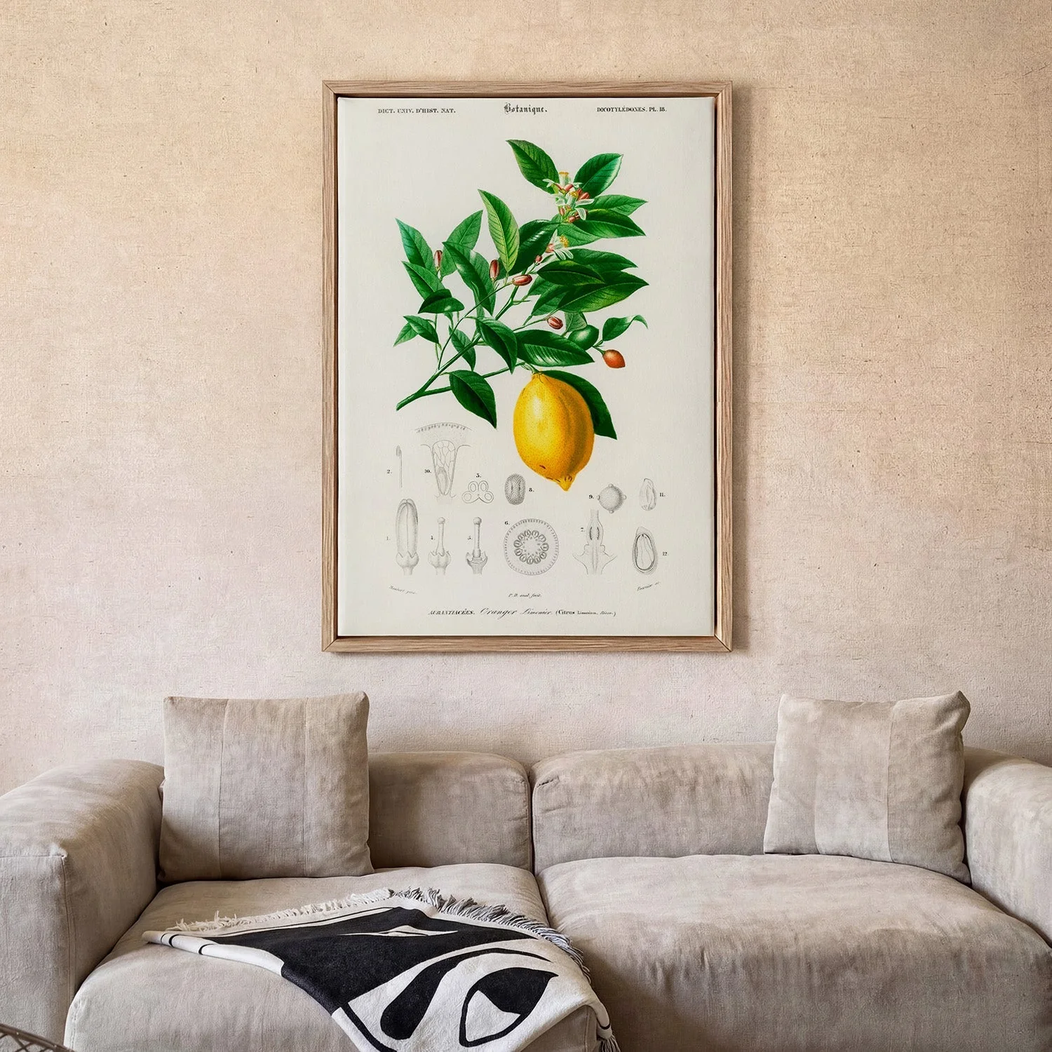 Lime Flower & Lemon Fruit - Image 2