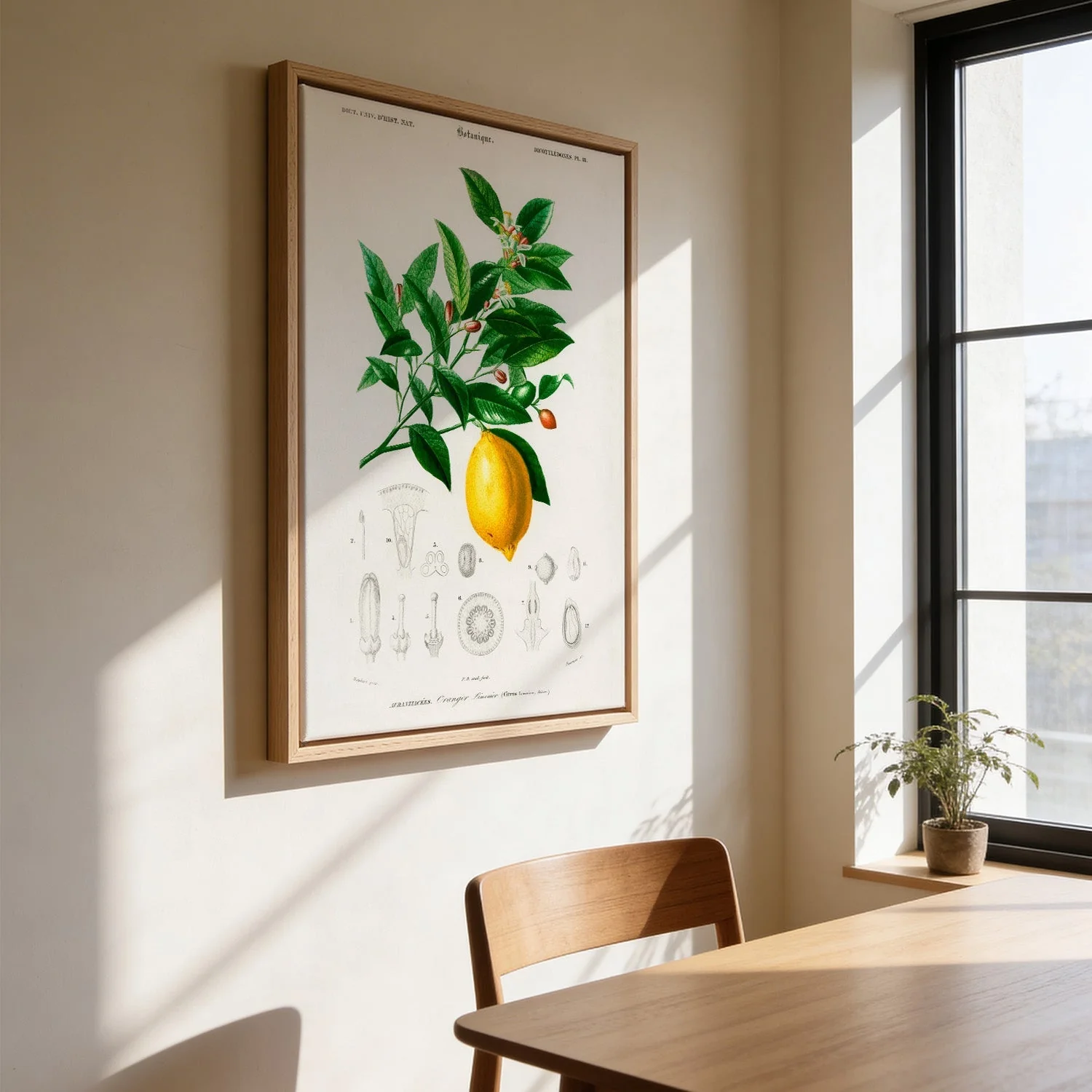 Lime Flower & Lemon Fruit - Image 3