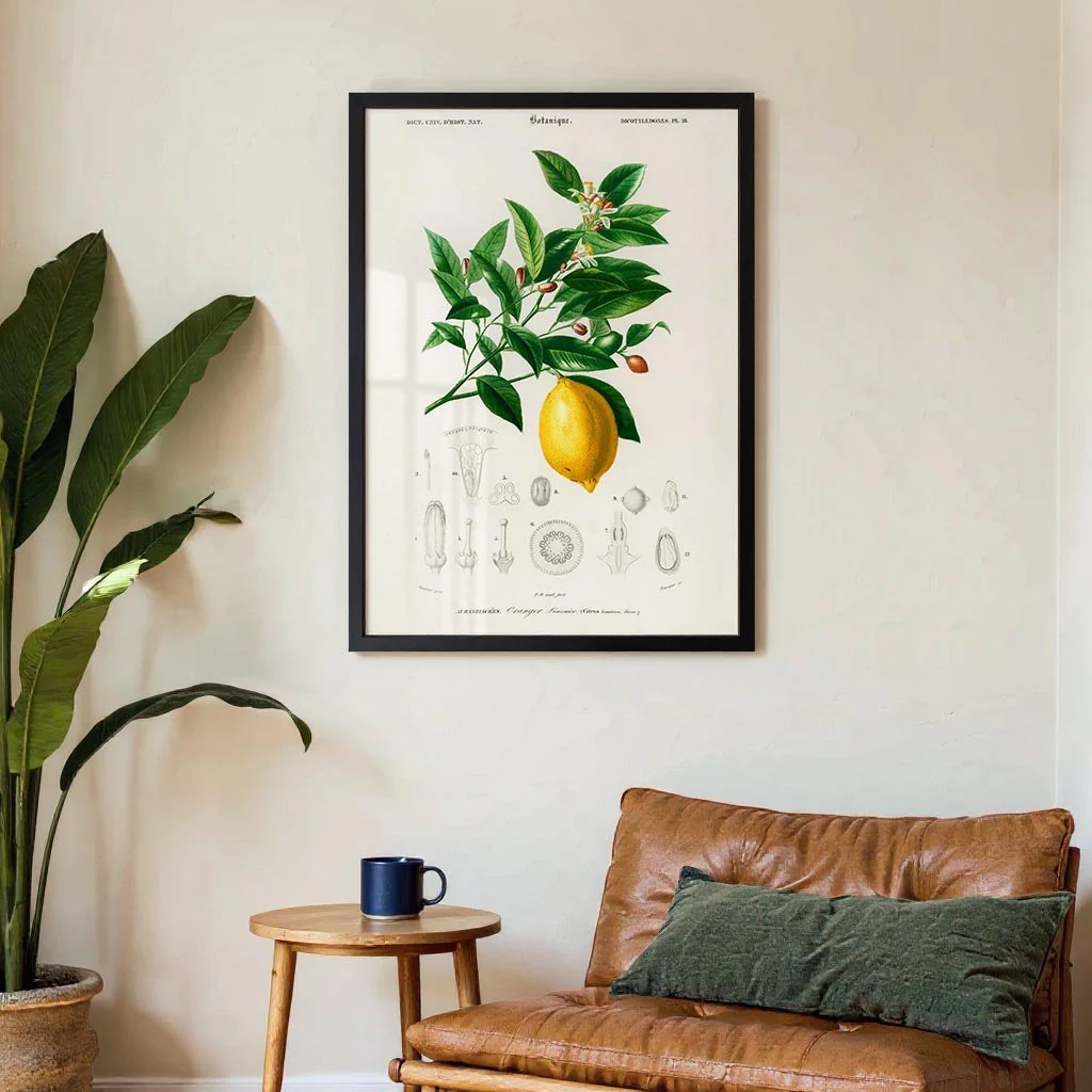 Lime Flower & Lemon Fruit - Image 3
