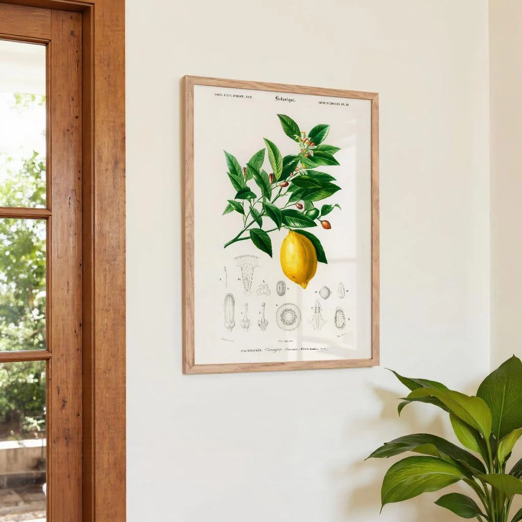 Lime Flower & Lemon Fruit - Image 4