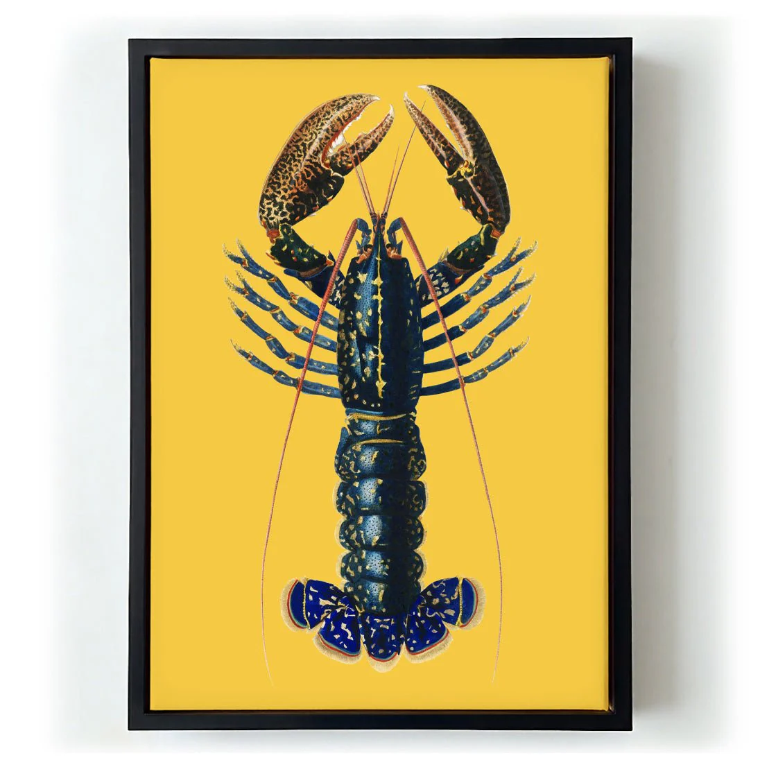 Lobster Yellow - Image 5