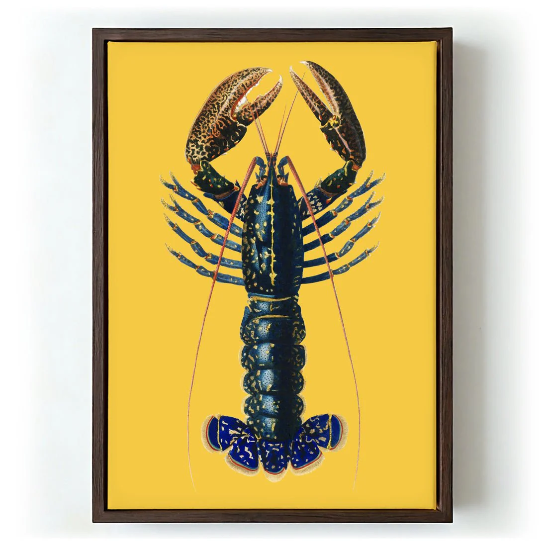 Lobster Yellow - Image 6