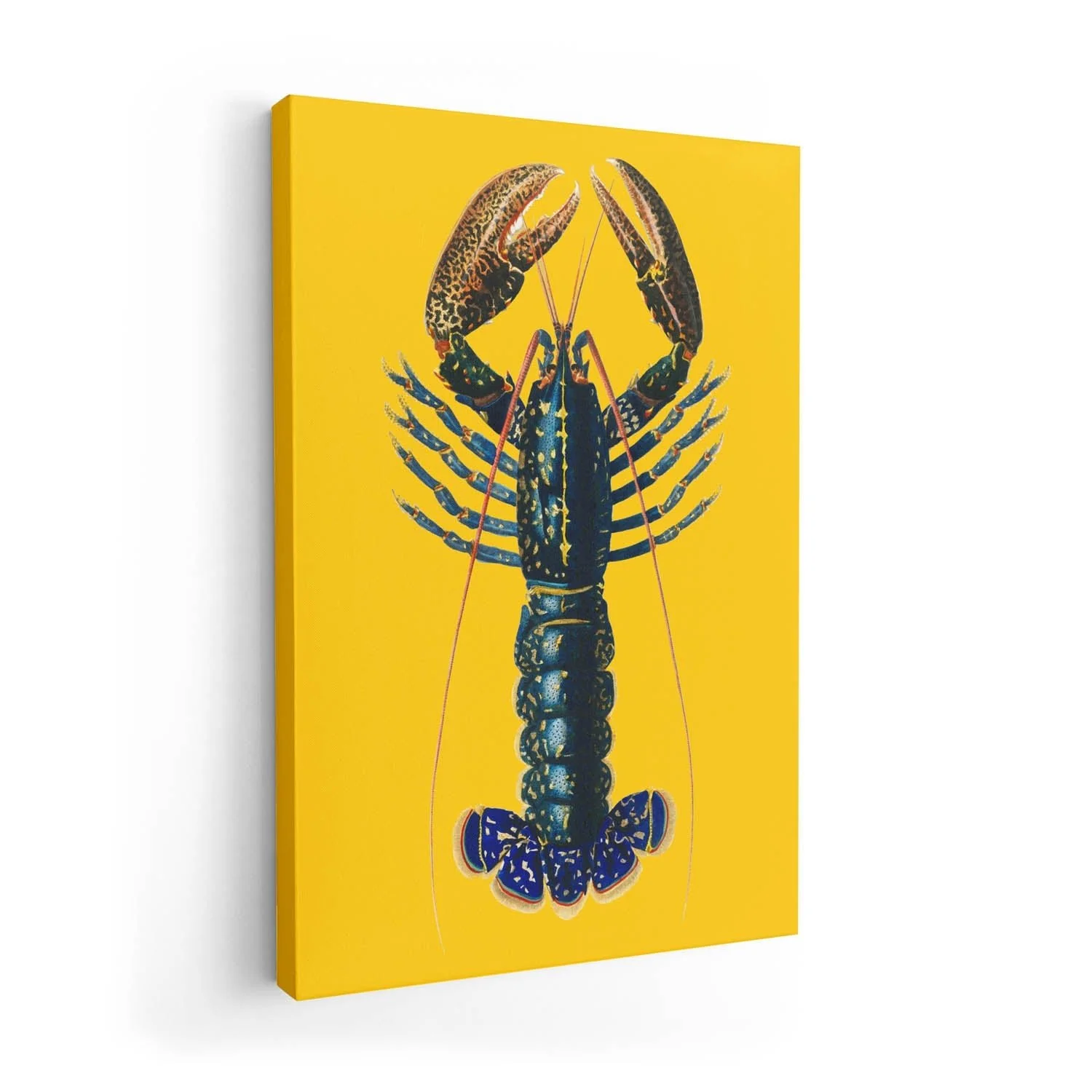 Lobster Yellow - Image 7
