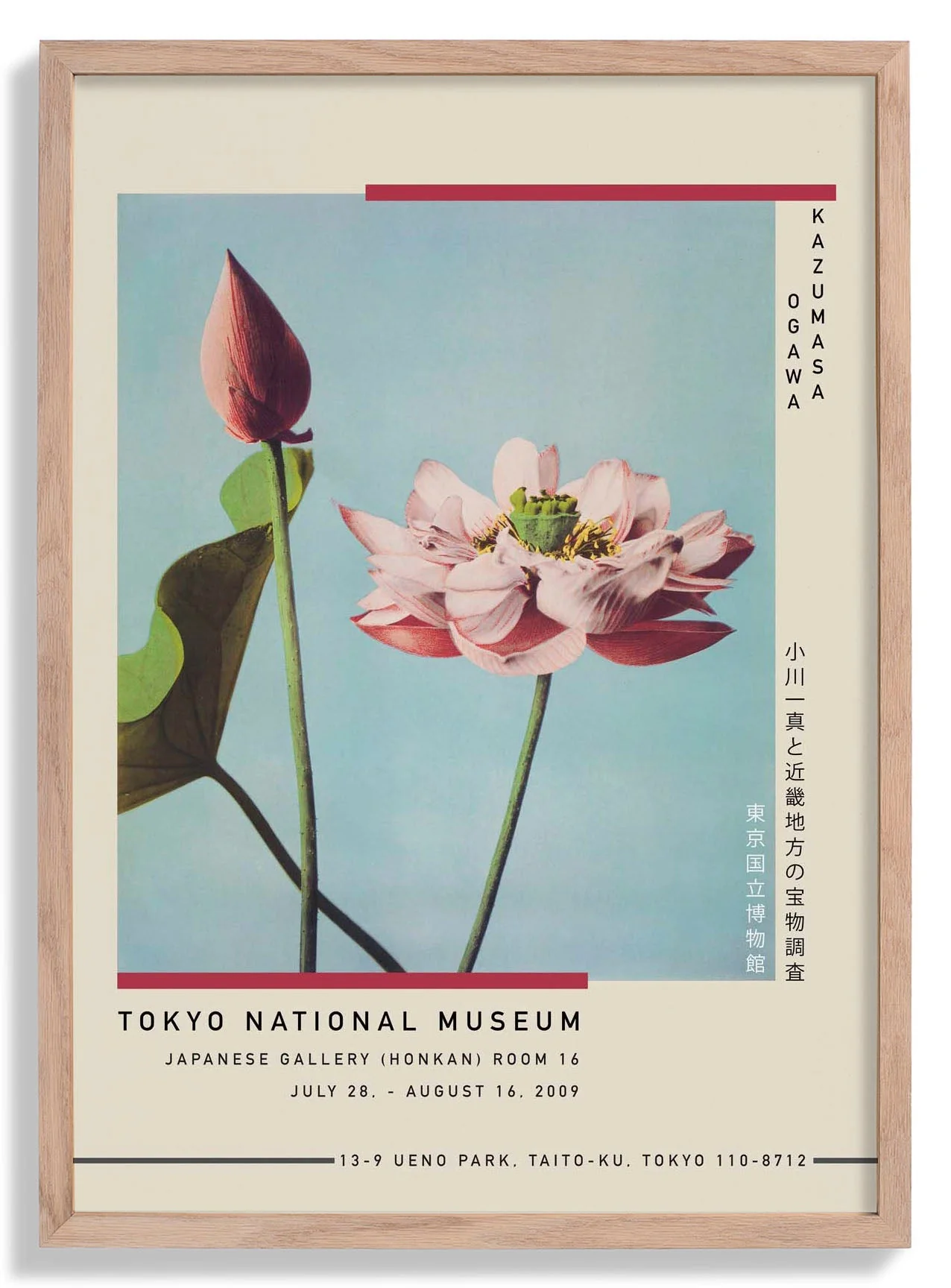 Lotus Flower by Kazumasa Exhibition