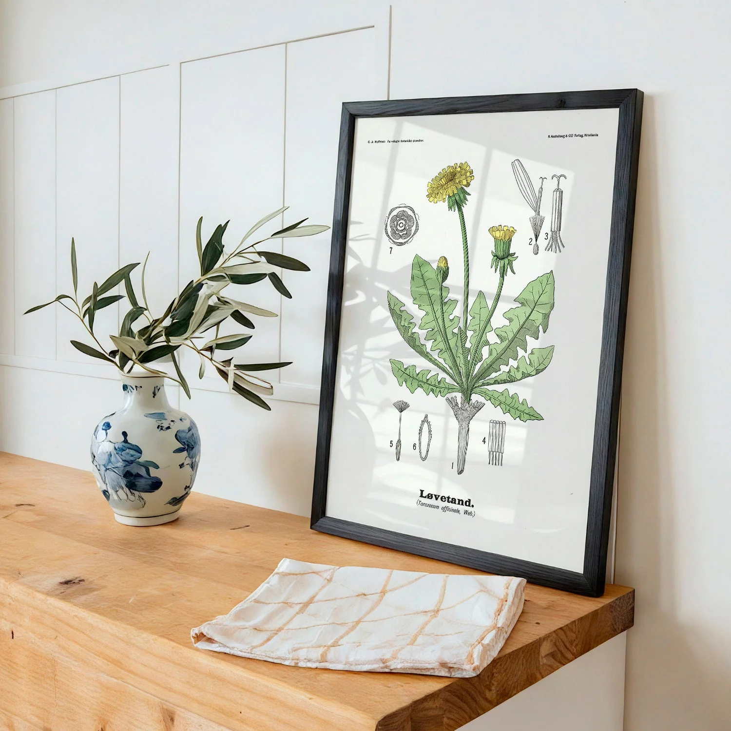 Løvetand - Taraxacum officinale Web. by Olaf Alfred Hoffstad - Image 3