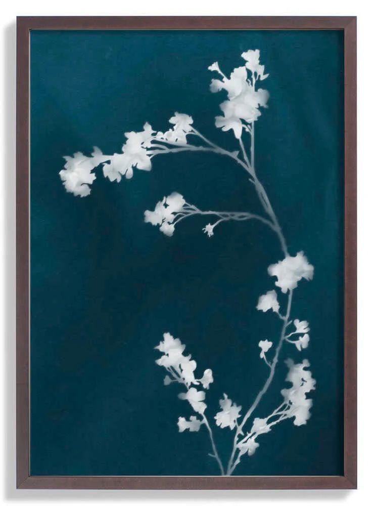 Monograph Blue Flowers by amini54 - Image 7