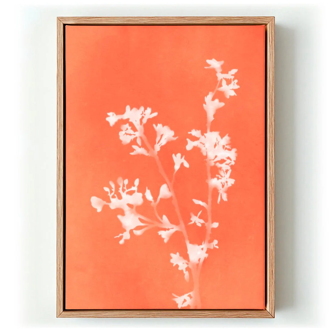 Monograph Orange Flowers by amini54