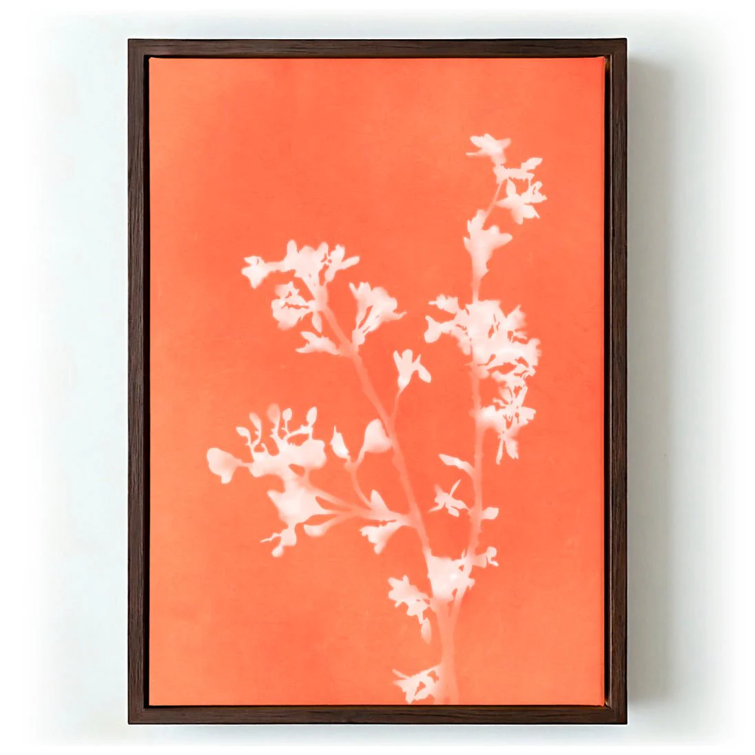 Monograph Orange Flowers by amini54 - Image 6