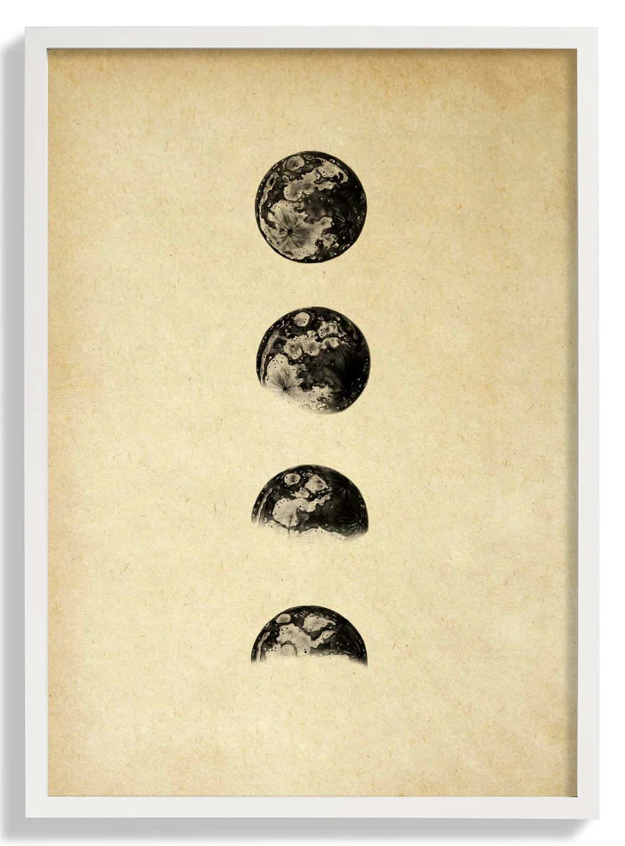 Moon Phases Sepia - Image 5