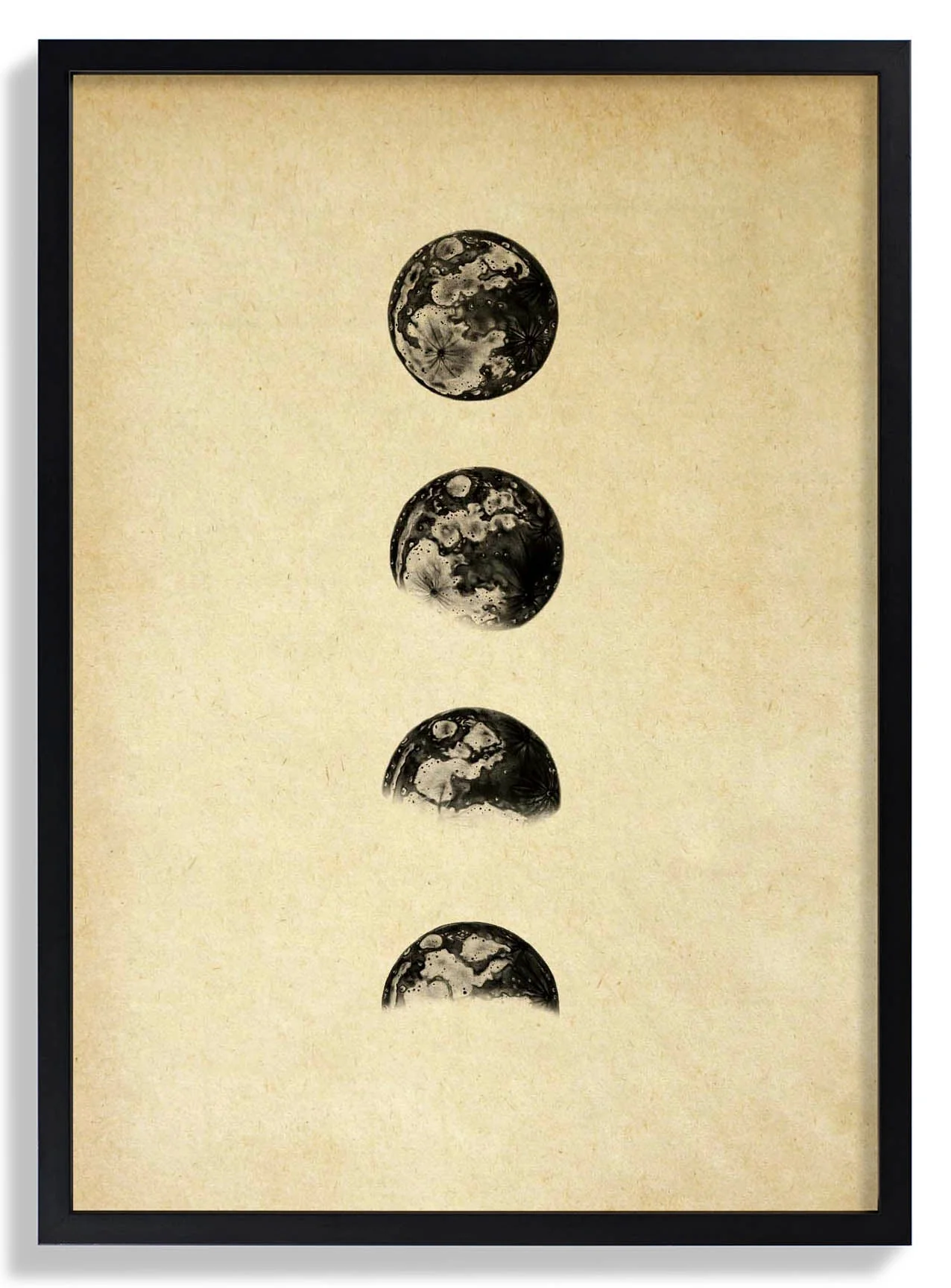 Moon Phases Sepia - Image 6