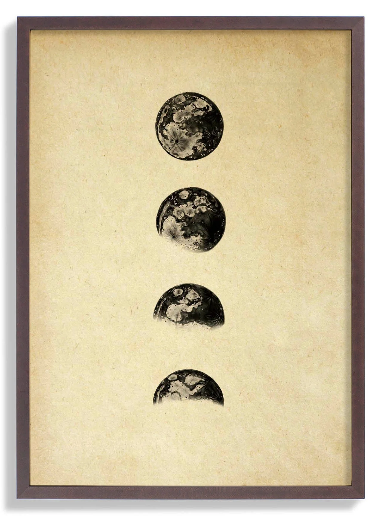 Moon Phases Sepia - Image 7