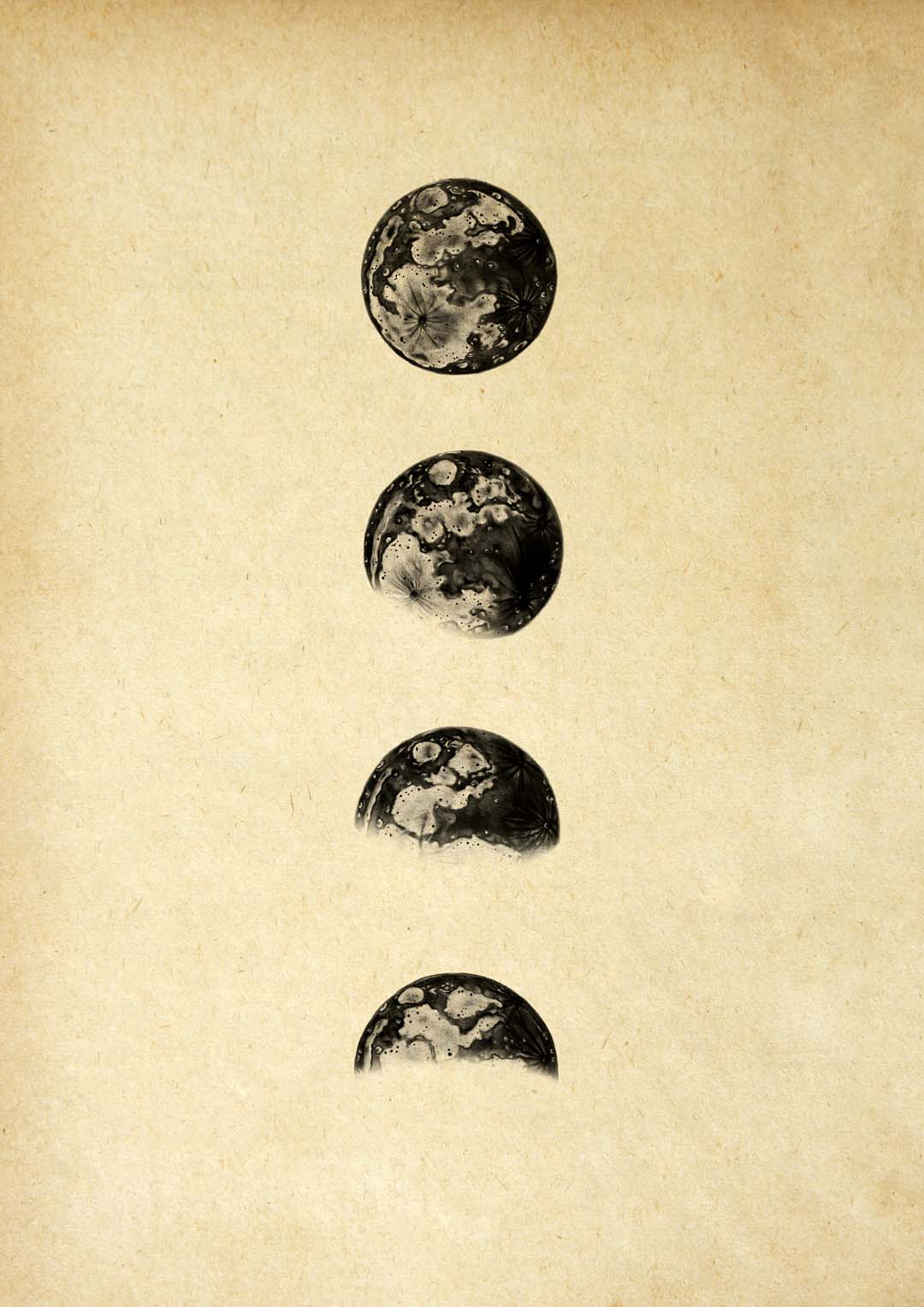 Moon Phases Sepia - Image 8