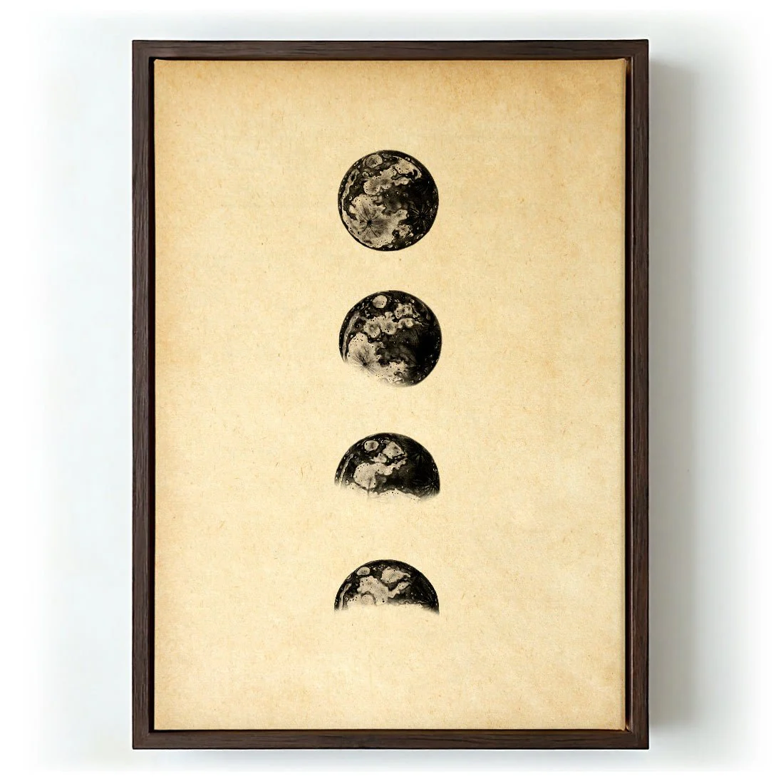Moon Phases Sepia - Image 5
