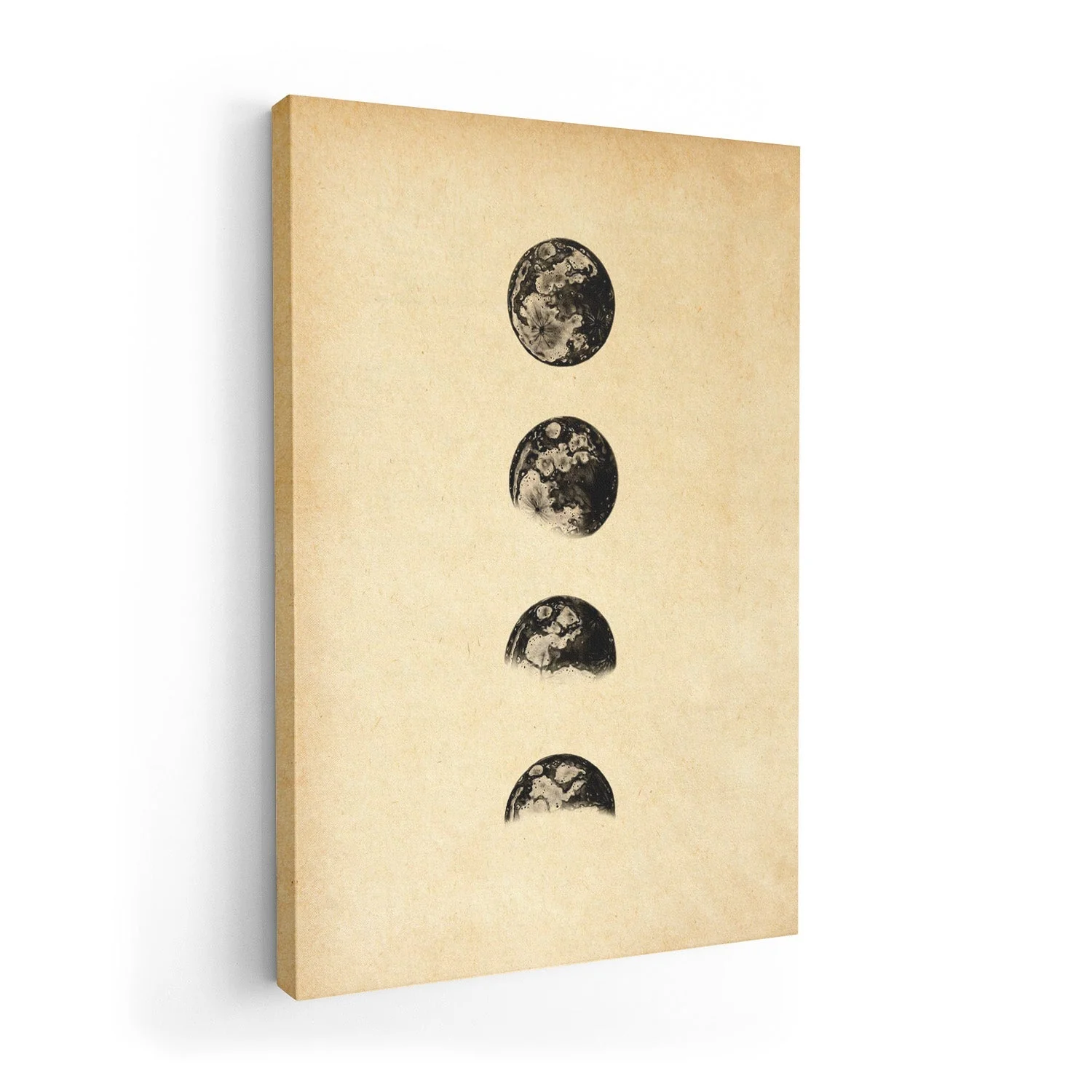 Moon Phases Sepia - Image 7