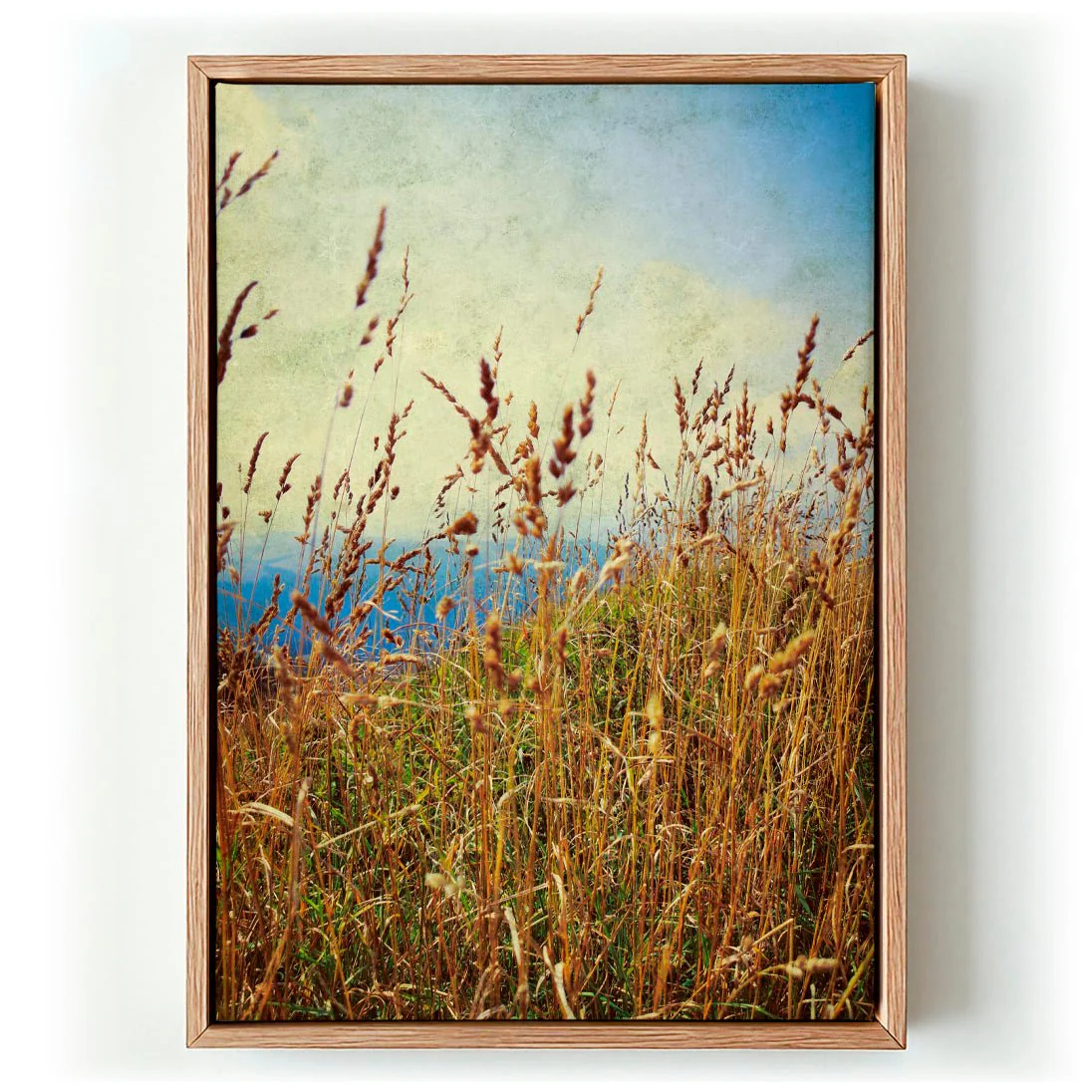 Mountain Grass by Angelo Cerantola