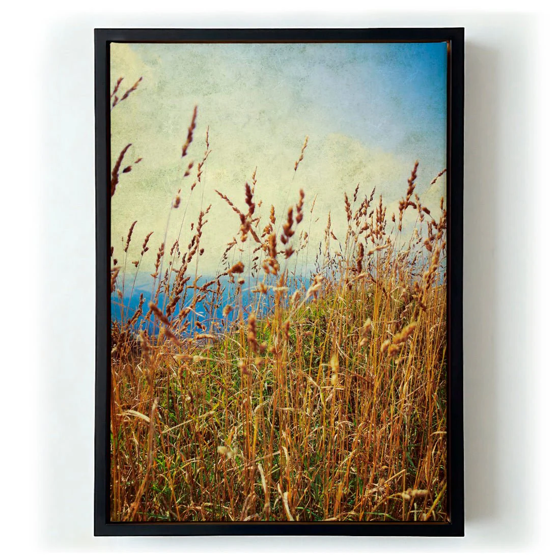 Mountain Grass by Angelo Cerantola - Image 5