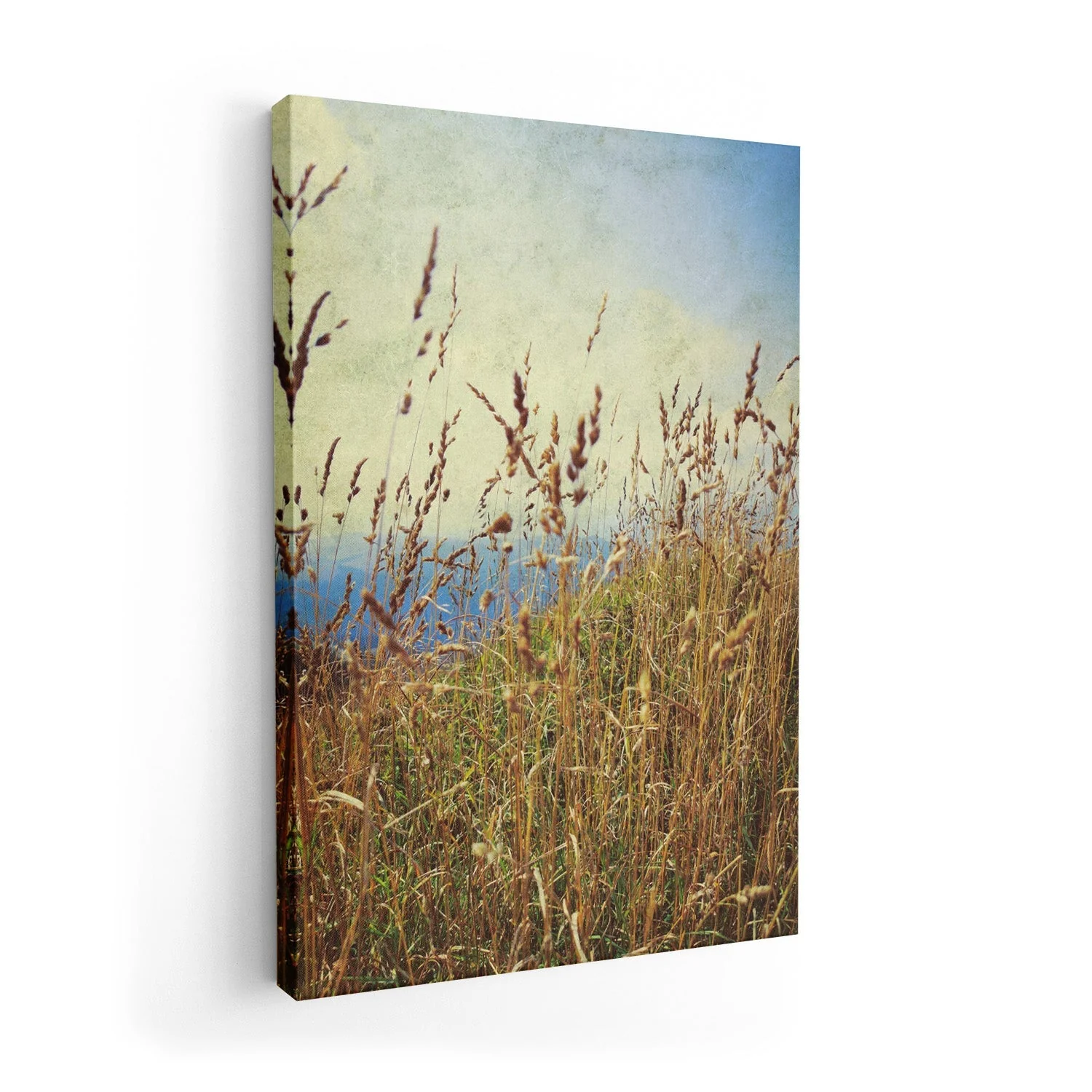 Mountain Grass by Angelo Cerantola - Image 7