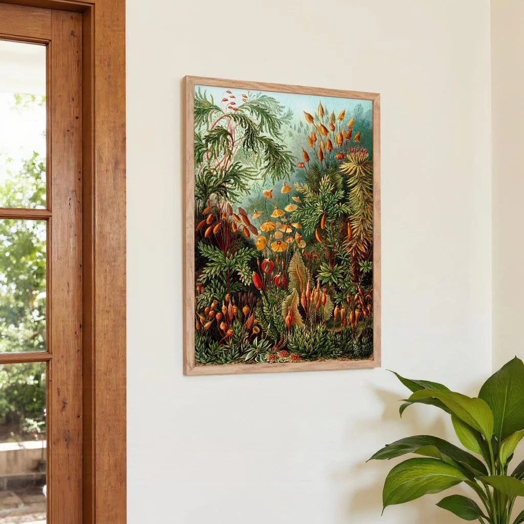 Mushroom Forest Print by Ernst Haeckel - Image 4