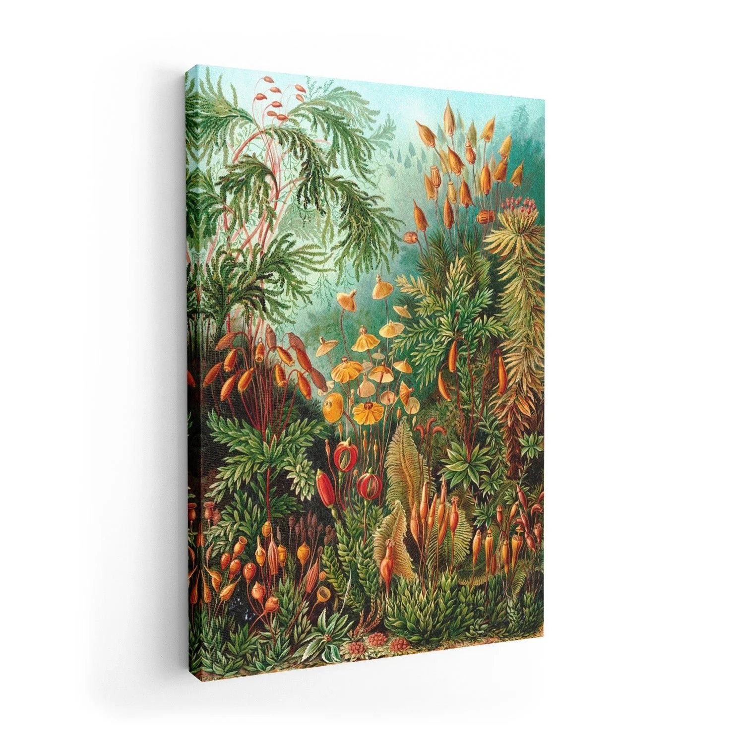 Mushroom Forest Print by Ernst Haeckel - Image 7