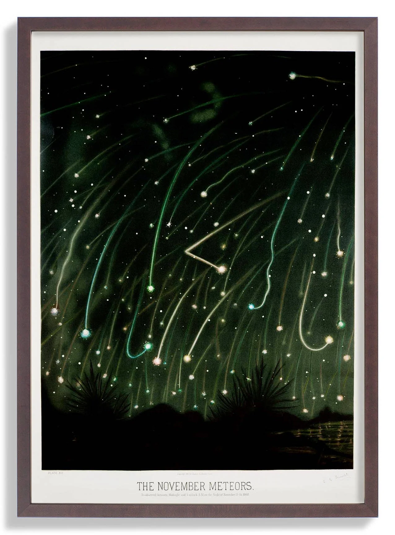 November Meteors by Trouvelot - Image 7
