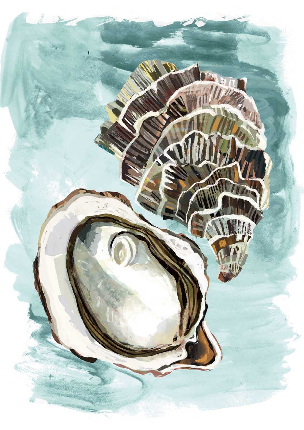 Ocean Fresh Oysters by Claire Hanley - Image 7