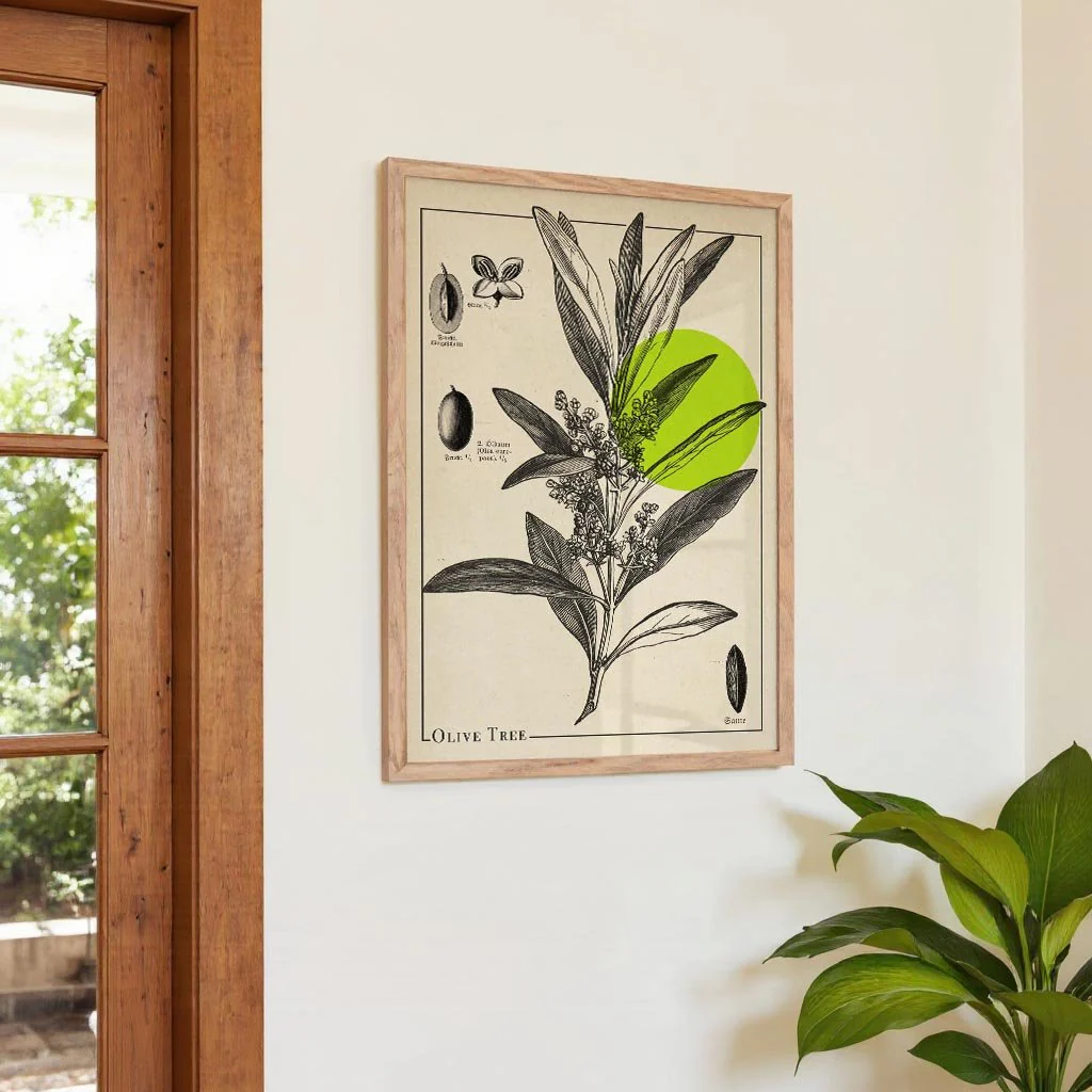 Olive Tree Antique - Image 4