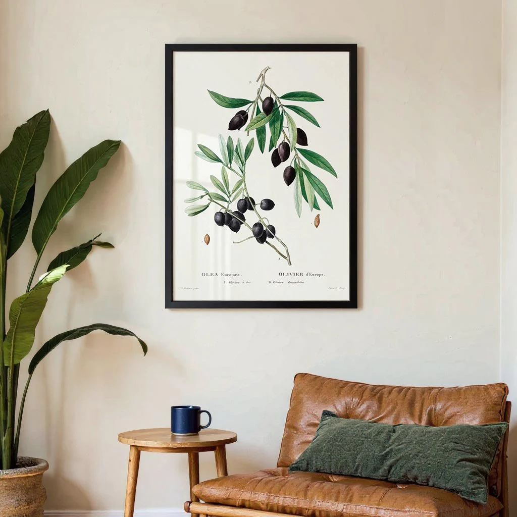 Olive Tree - Image 3