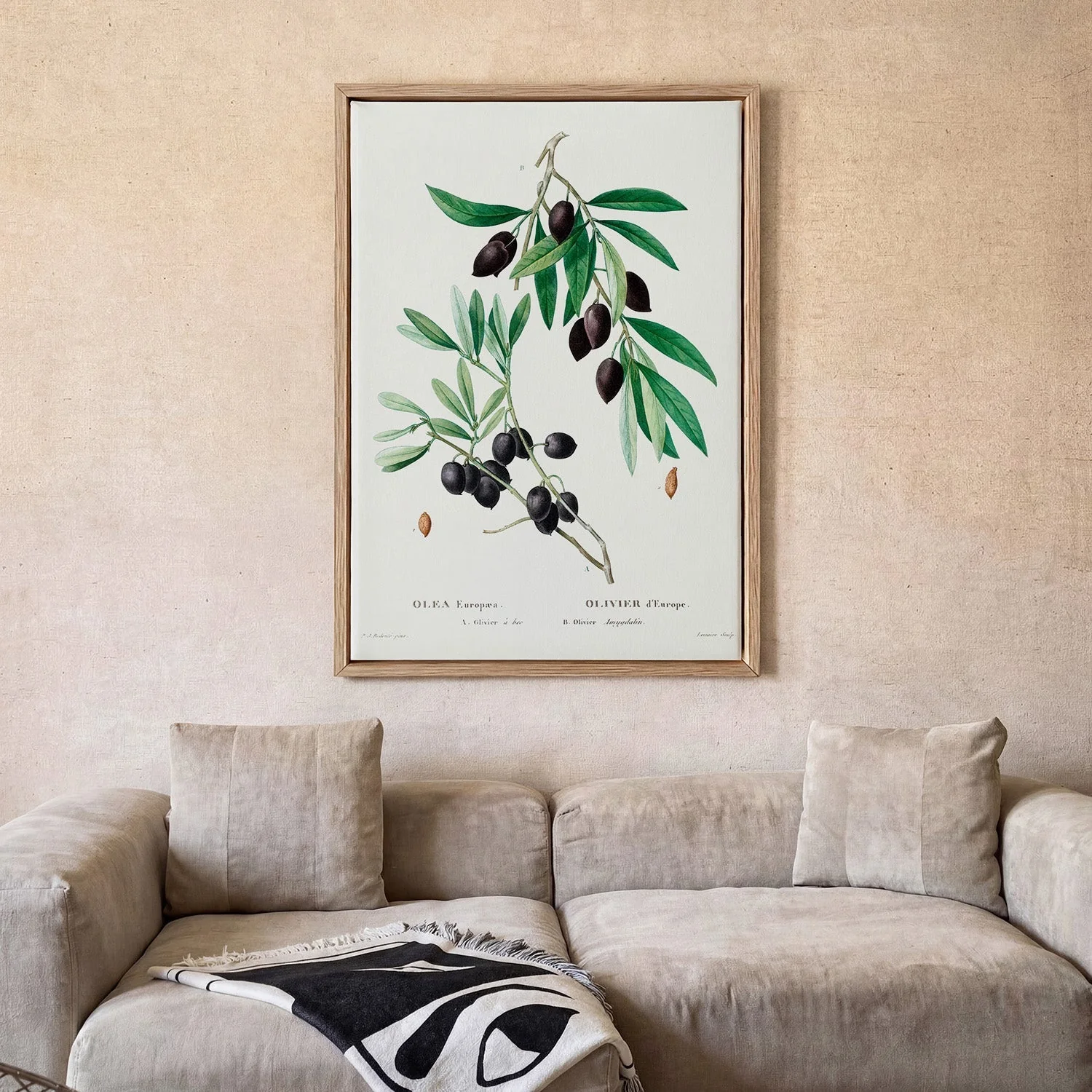 Olive Tree - Image 2
