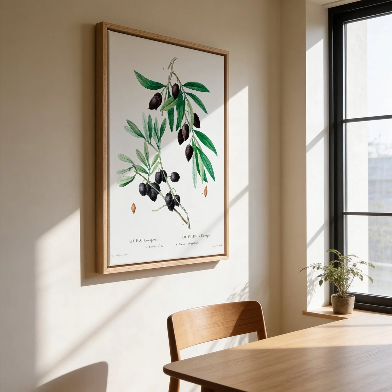 Olive Tree - Image 3