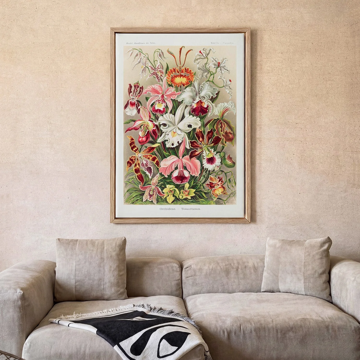 Orchideae Lilly Flowers by Ernst Haeckel with borders - Image 2