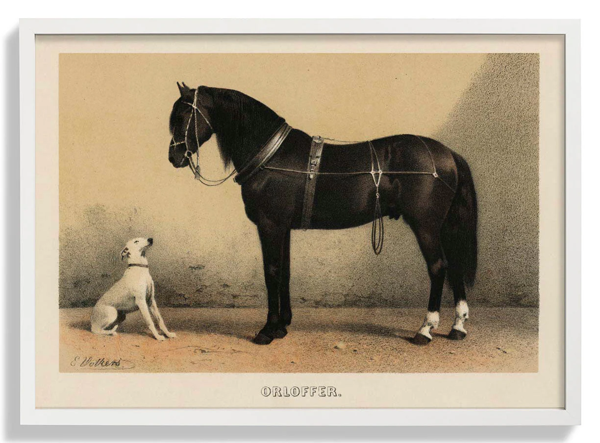 Orloff Horse & Dog - Image 5