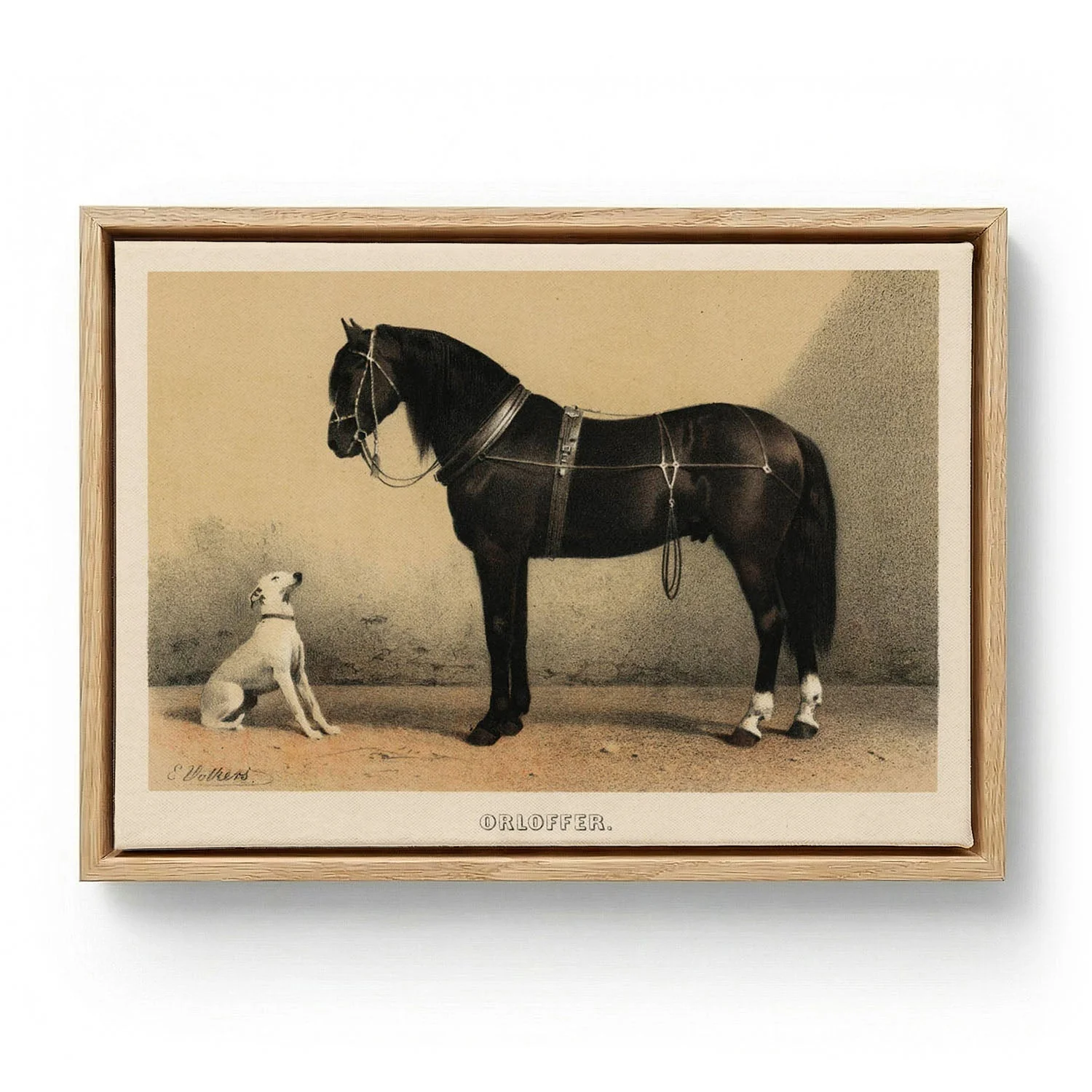 Orloff Horse & Dog