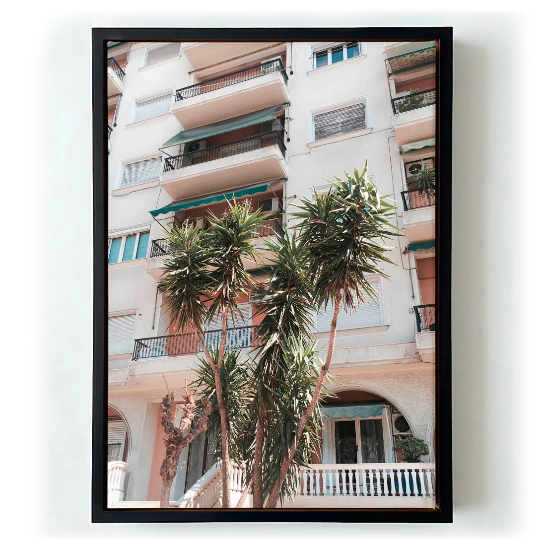 Palm Family by Andrea Schindler - Image 5