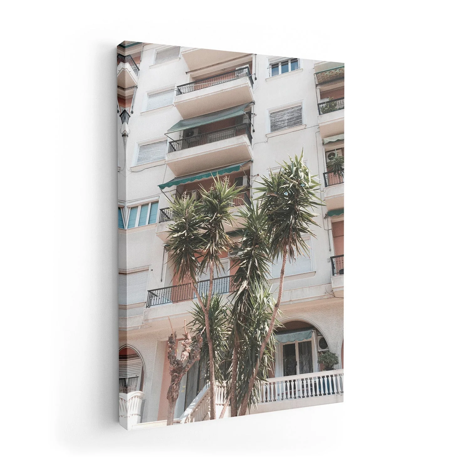Palm Family by Andrea Schindler - Image 7