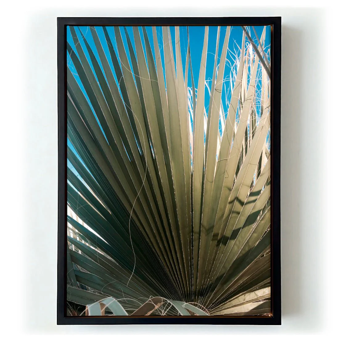 Palm Fan by Andrea Schindler - Image 5
