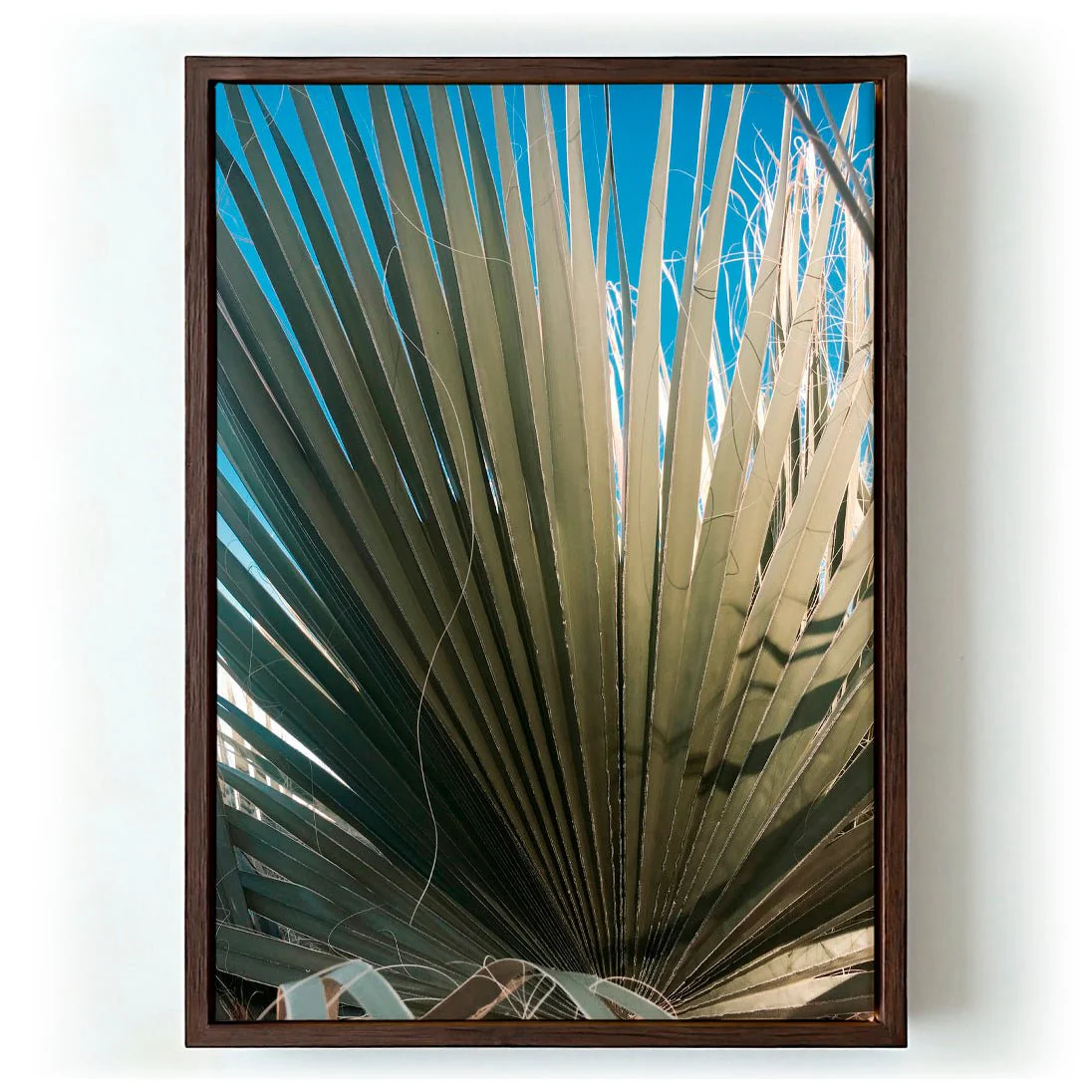 Palm Fan by Andrea Schindler - Image 6
