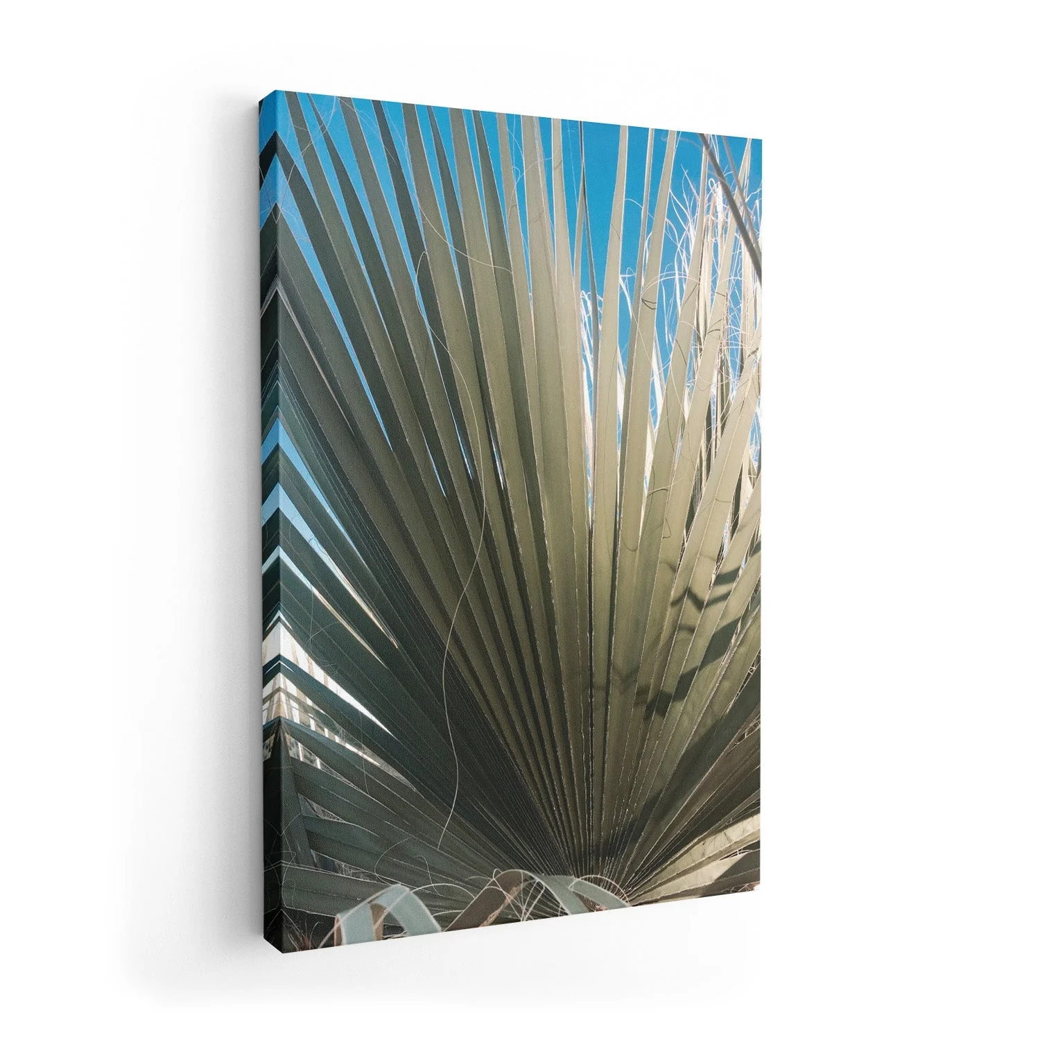 Palm Fan by Andrea Schindler - Image 7
