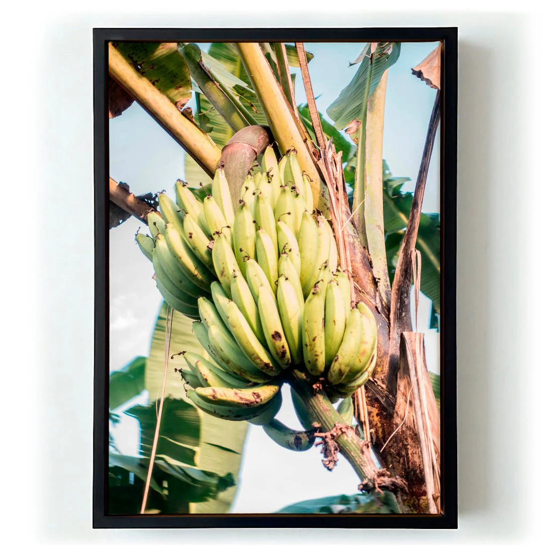Pass by a Banana Plant by Andrea Schindler - Image 5