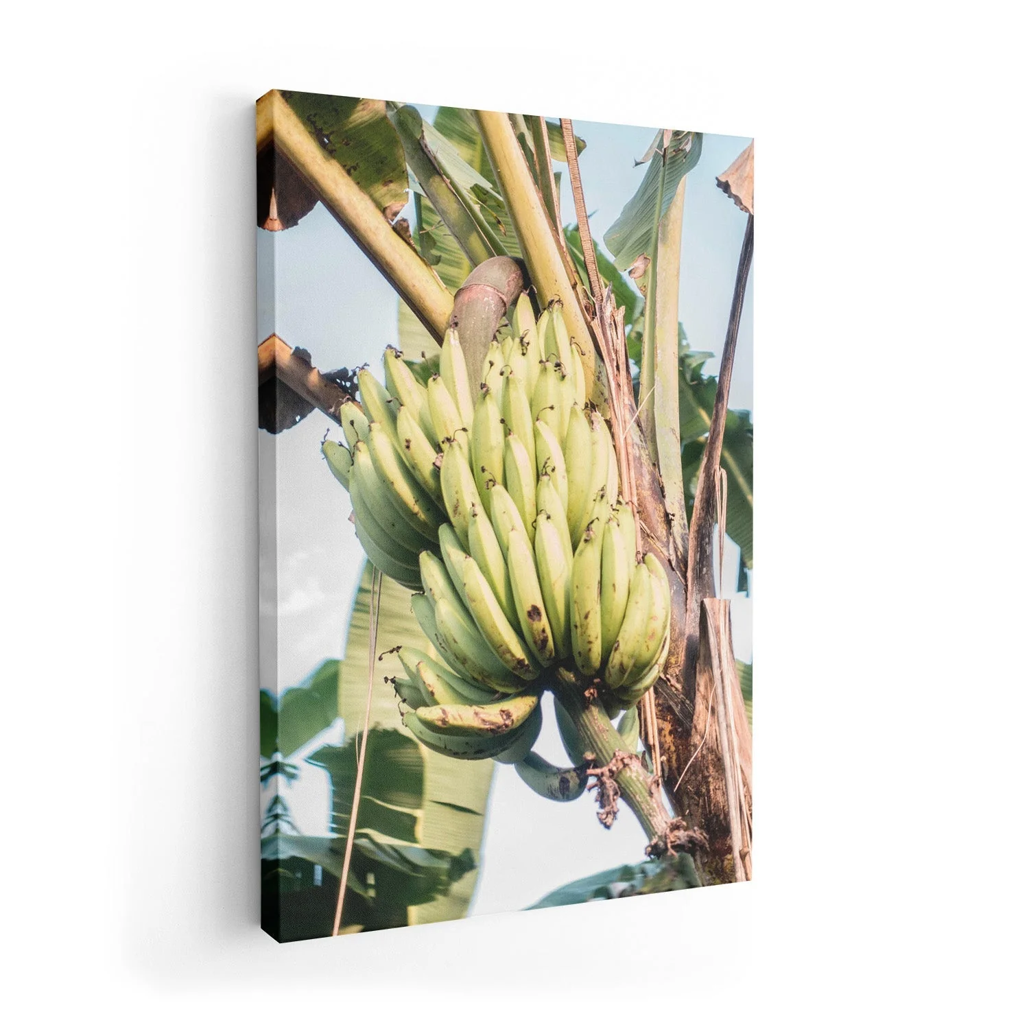 Pass by a Banana Plant by Andrea Schindler - Image 7
