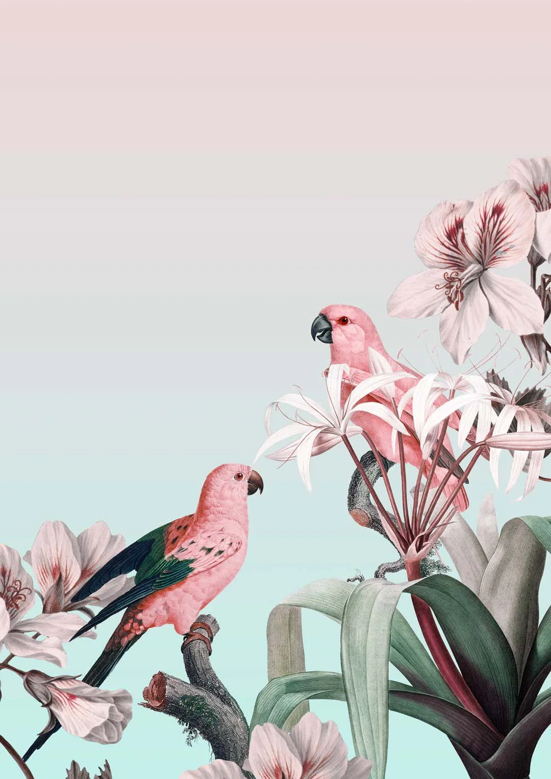 Pastel Parrots Paradise by Andrea Haase - Image 8