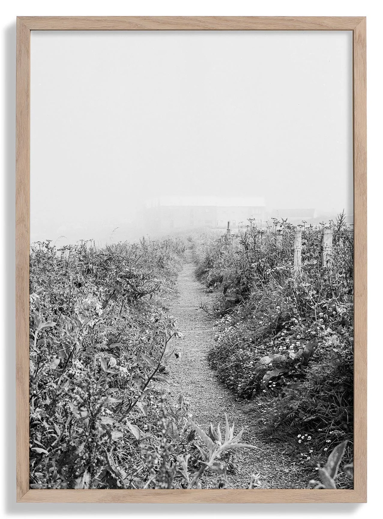 Pathway by Sophie Robinson