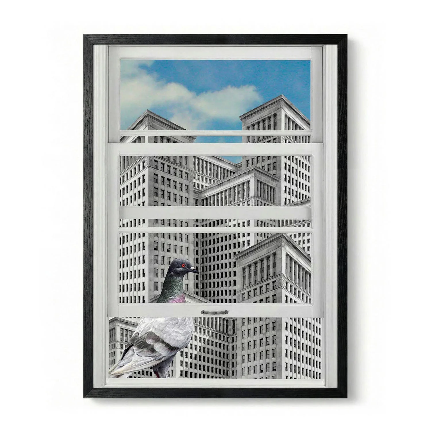 Pigeon City Gaze by Marja van den Hurk - Image 5