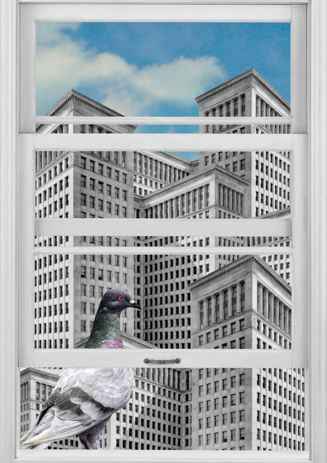 Pigeon City Gaze by Marja van den Hurk - Image 7